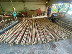 Bamboo stakes